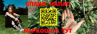 спиды Можга