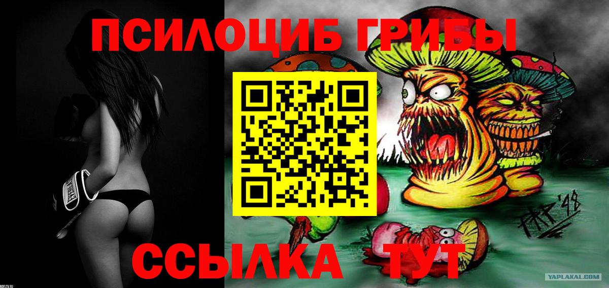 Галлюциногенные грибы Psilocybine cubensis Щёлково